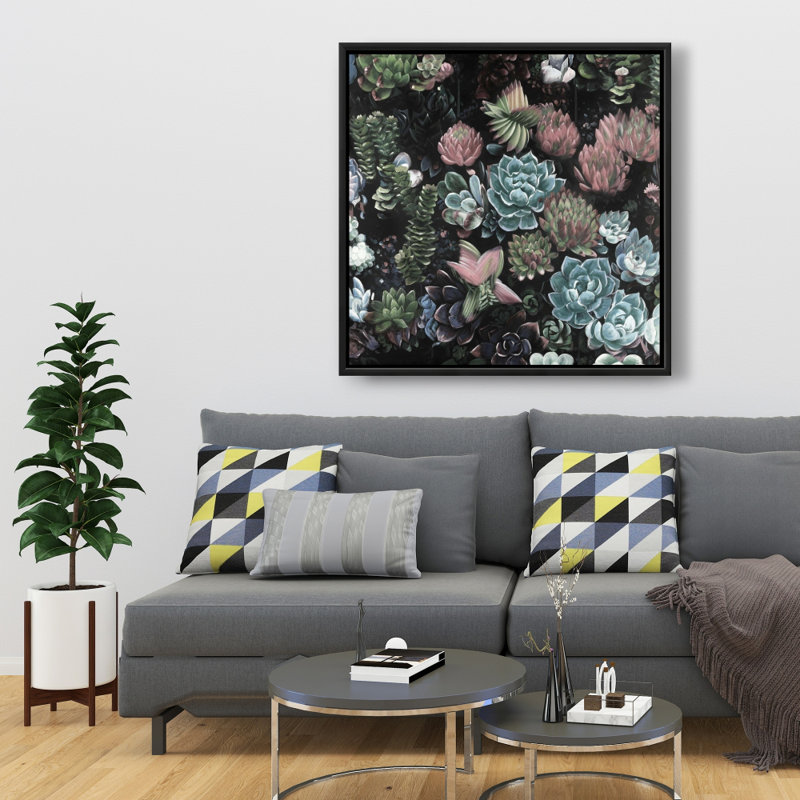 " Succulent Set "