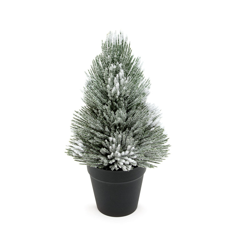 Primrue Pine Tree Pot | Wayfair