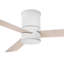 Ventilateur intelligent DEL Hinkley-122614738-122614737