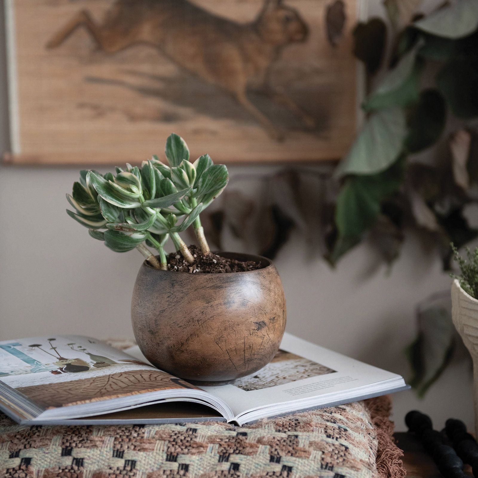 Pella Solid Mango Wood Decorative Bowl