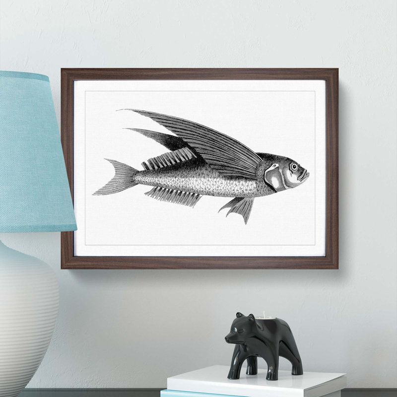 Oceanic Flying Fish in Black & White by George Shaw - Framed Print, 27cm H x 36cm W x 2cm D, Walnut Framed