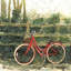 «Riding in the Woods», reproduction de vélo | Art de transport de vélo-561443656-561443657