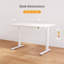 48-inch Electric Standing Desk with a Multi-Functional drawer, Wide Height Adjustment with 4 Memory Preset - White-446128739-446128738