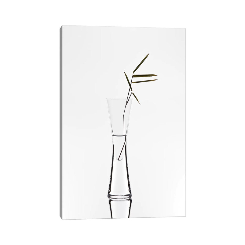 Bamboo by Christian Pabst - Wrapped Canvas Print, 66.04 cm H x 45.72 cm W