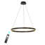 Luminaire suspendu à DEL Dilnoza-320315934-289721280