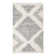 Rodney Geometric Indoor Rug