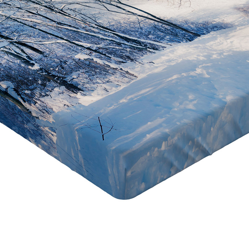Ensemble de 2 draps-housse Ambesonne Winter, Drap-housse simple TG