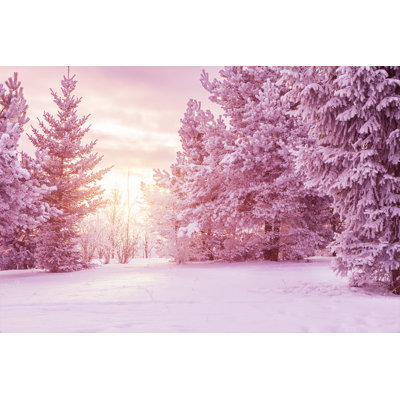 Winter Landscape 1 Piece Wrapped Canvas Wall Art
