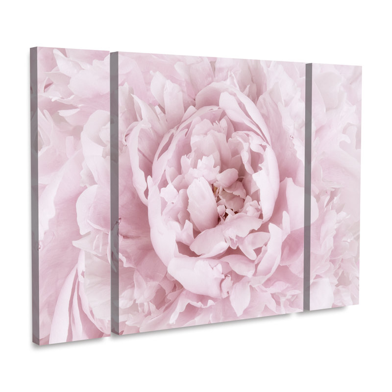 " Pink Peony Flower " by Cora Niele 3 - Pieces, 30" H x 41" W x 2" D