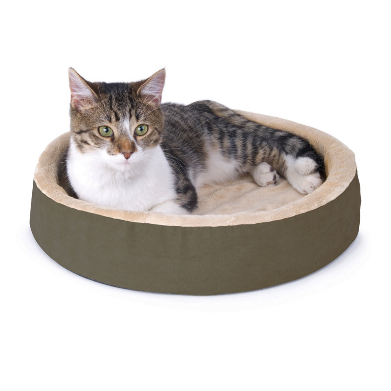 Lit rond pour chat