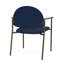 Chaise d'invité Chat Chat-98671300-98882111
