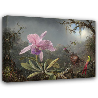 "Cattleya Orchid and Three Hummingbirds" by  Martin Johnson Heade - Gallery Wrap Canvas Wall Art