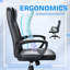 Fauteuil président ergonomique Heald