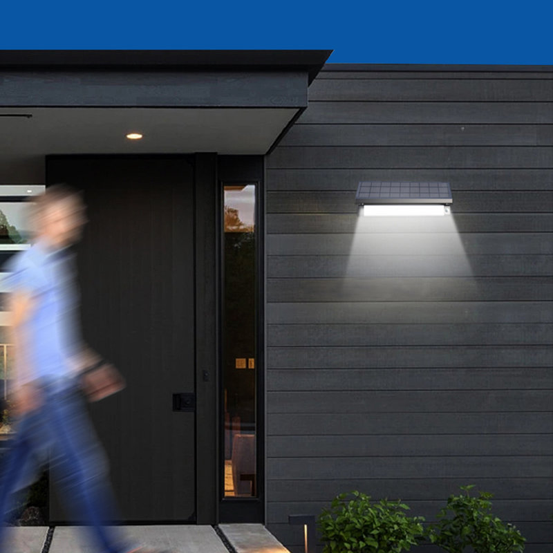 Aluminum 5-Watt Solar Powered Dusk to Dawn Floor Light with Motion Sensor