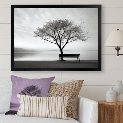" Black And White Lakeside Nature Serenity "