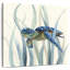 Tortue Brampt en ruppie maritime II-109207301