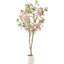 150cm Plant