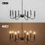 Brandia 8 - Light Dimmable Classic / Traditional Chandelier-485320114