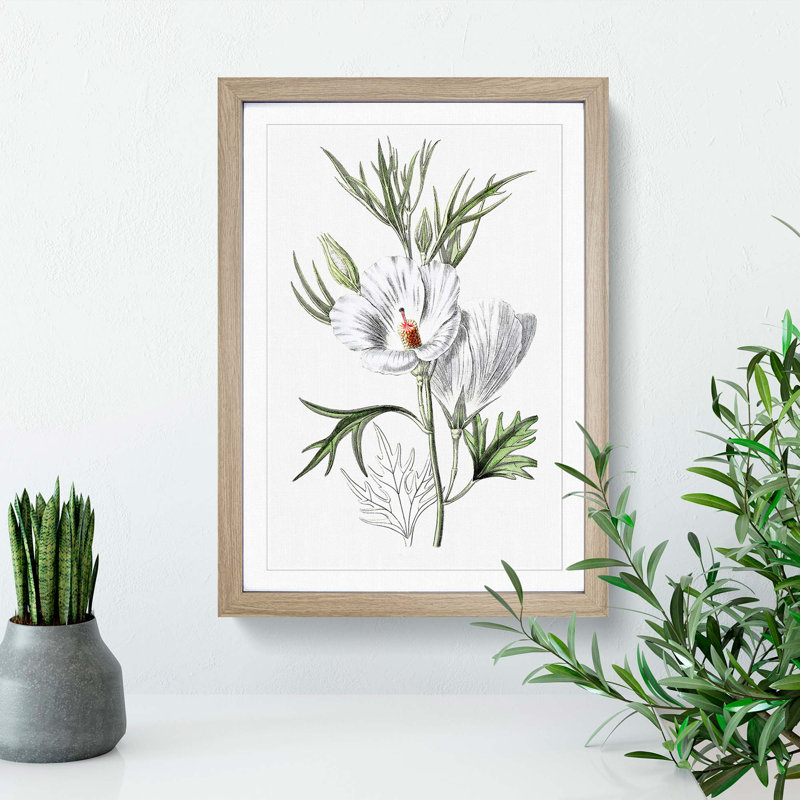 White Hibiscus Flowers - Framed Print, 36cm H x 27cm W x 2cm D, Oak Framed
