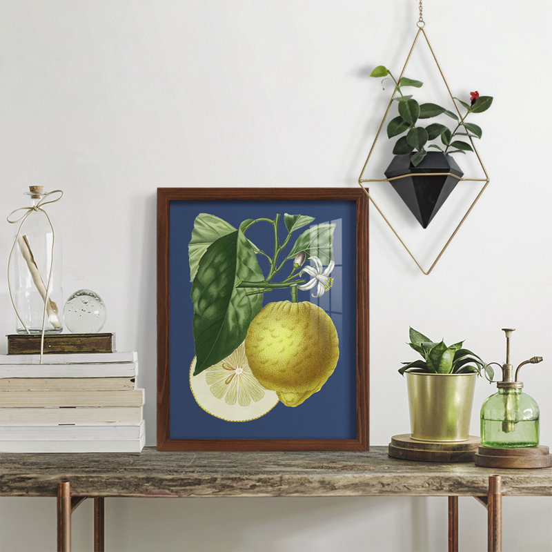 «Camargue French Lemon On Navy I», impression sur papier, H 15 po x l 12 po x P 1 po, Châtaigne