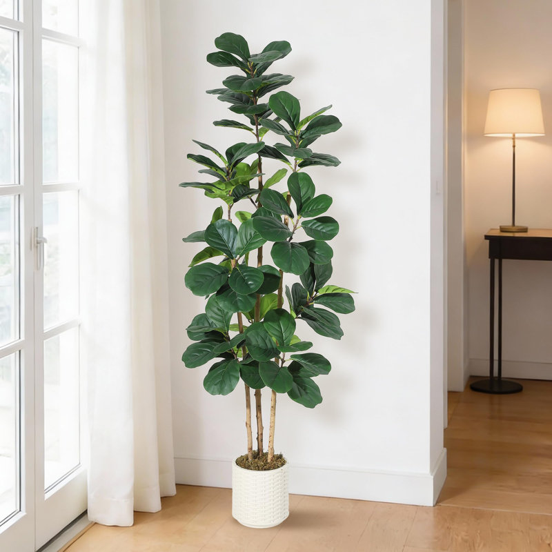 Figuier artificiel 5 pi 5 pi - en pot décoratif blanc, 84" x 7.1"