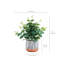 Verdure eucalyptus 15 po Elements en pot décoratif, marbre