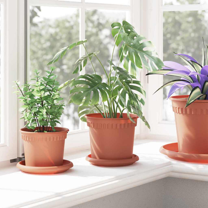 Pot Planter