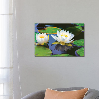 Lovely Lilly by David Gardiner - Gallery-Wrapped Canvas Giclée on Canvas