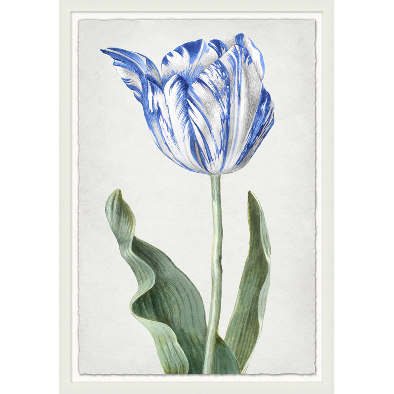 Spring Tulip 1' Framed Graphic Art Print on Glass