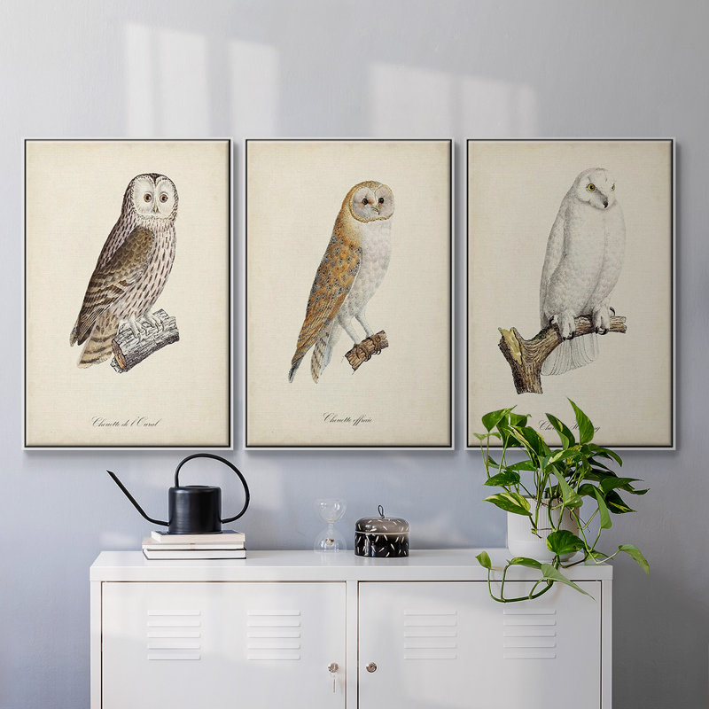 French Owls IV, ensemble de 3 toiles encadrées sur toile, H 36 po x l 72 po, Cadre blanc