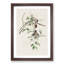 Carolina Titmouse Birds by John Audubon - Picture Frame Painting Print-55513729-55513728