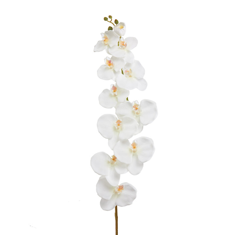 Tige d'orchidée Phalaenopsis Natural Touch, Blanc