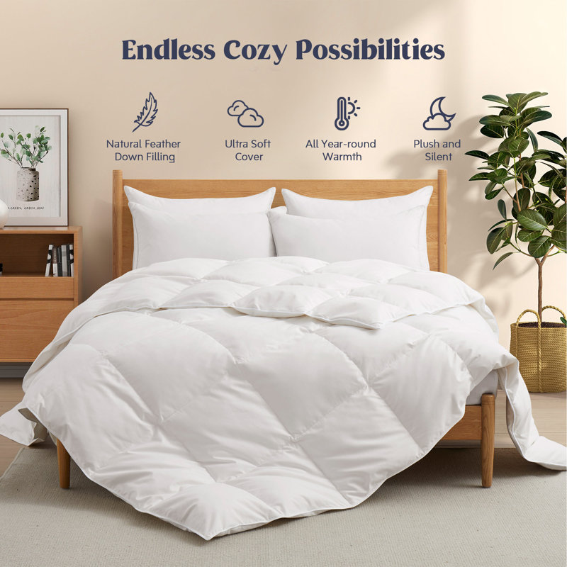 Twin White Cotton Down Comforter Duvet Insert