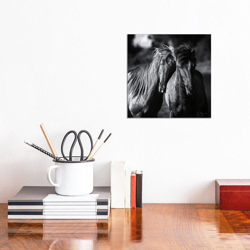 Buddies Crop by Aledanda - Wrapped Canvas Print, 30.48 cm H x 30.48 cm W