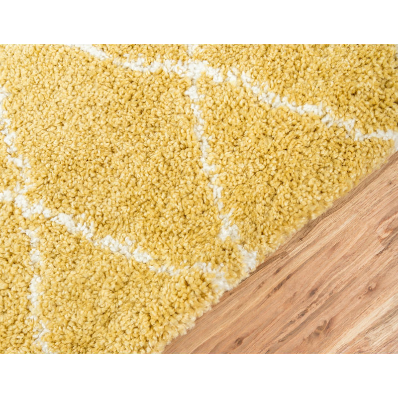 Paquette Trellis Shag Area Rug, Runner 79 x 305cm