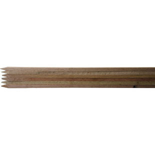 Bond Gardening Tools (Set of 6)
