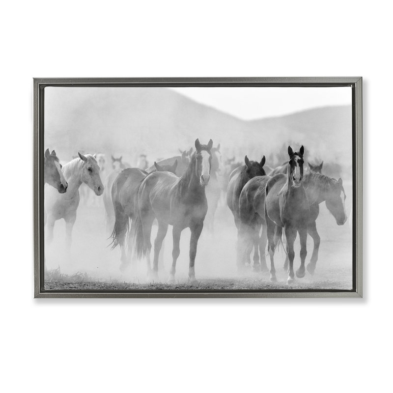 «Running Horse Herd», toile flottante encadrée brune par Kim Allen, Cadre flottant gris lustré, H 17 po x l 25 po
