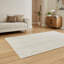 Rumessa Shag 80cm X 150cm Area Rug