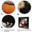 Country Music Melody 1 - musique, art mural-1102030866-1102030870