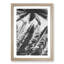 Palm Tree Shadows - Framed Print-55577936-55577937