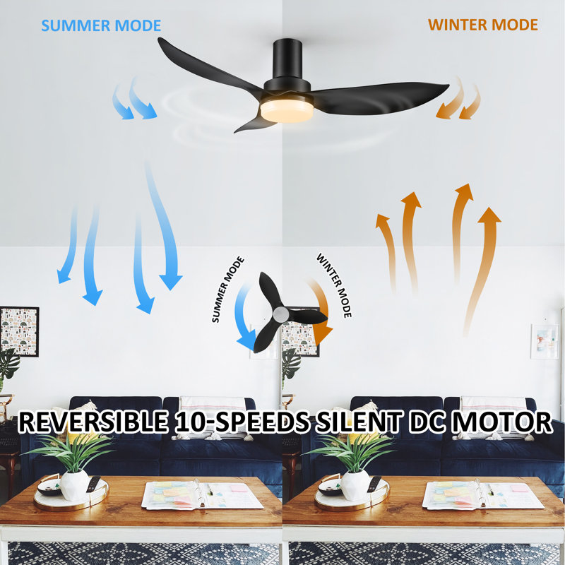 Effy 45'' Ceiling Fan with Light, Black