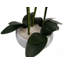 60cm Faux Plant in Ceramic Pot-1303801347