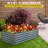 Sneedville Metal Raised Garden Bed