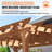 Solid Wood Pergola-85421431