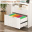 73cm Wide 2 -Drawer File Cabinet-1574268972