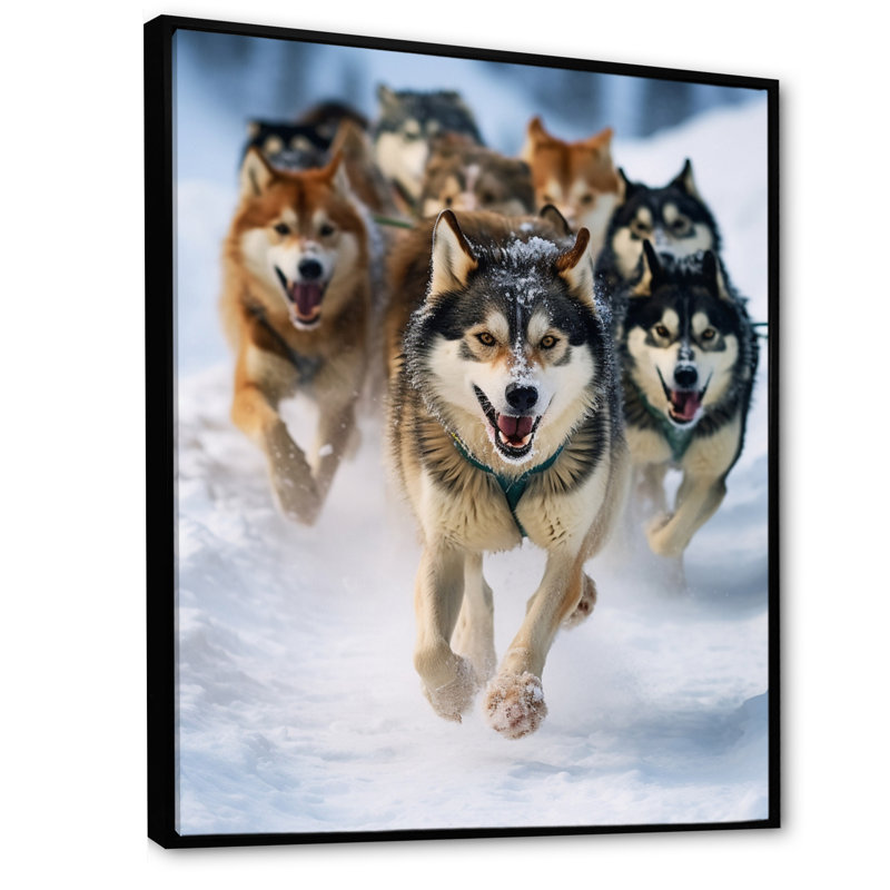«Alaska Dog Sledding III», reproduction sur toile, H 20 po x l 12 po x P 1 po, Cadre flottant noir