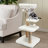 Multi-Level Climbing Frame for Cat