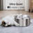 Pet Fountain