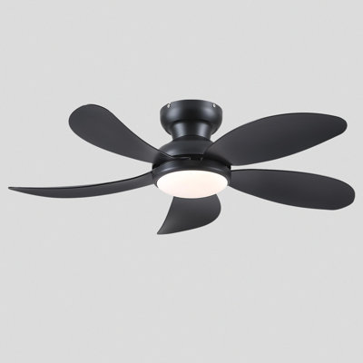 Fan Light
