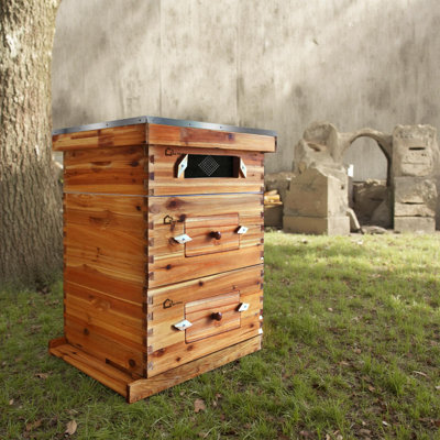 Complete Langstroth 10-Frame Beehive Starter Kit – 2 Deep & 1 Medium Beeswax-Coated Fir Boxes, 30 Frames, Acrylic Windows, Foundations – Ideal for Beginner & Pro Beekeepers, Durable Construction